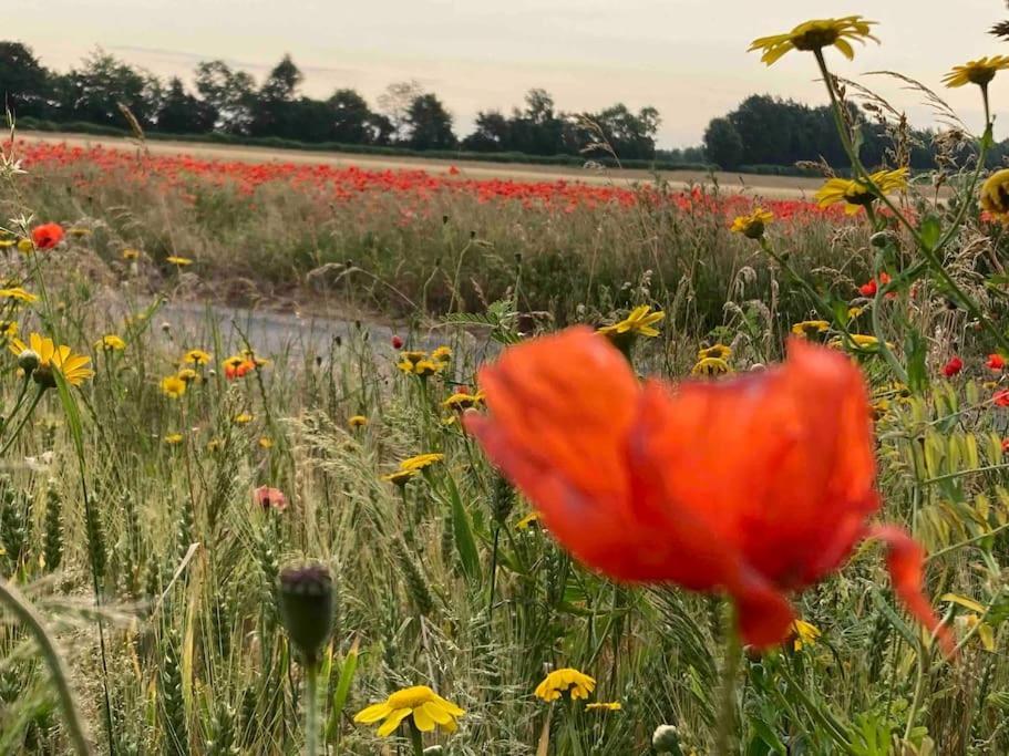 Appartamento Le Clos De Beauchamp Le Grenier De Beauchamp 3 Velos Sont Disponibles Gratuitement Saint-Valéry-sur-Somme